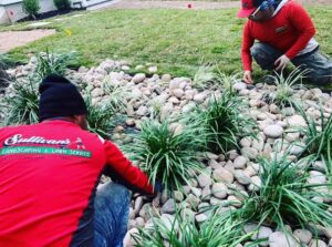 5 Reasons Why You Should Hire An Austin Lawn Care Service