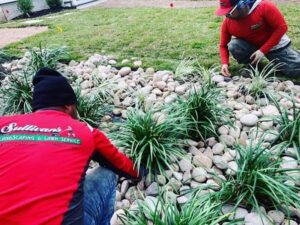 5 Reasons Why You Should Hire An Austin Lawn Care Service