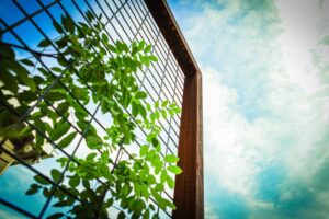 Your Austin Commercial Landscaping Checklist Is Here!