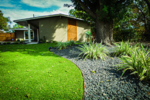 Austin Lawn Care Service Practices For The Fall