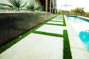 Common Landscape Problems In Austin, Tx