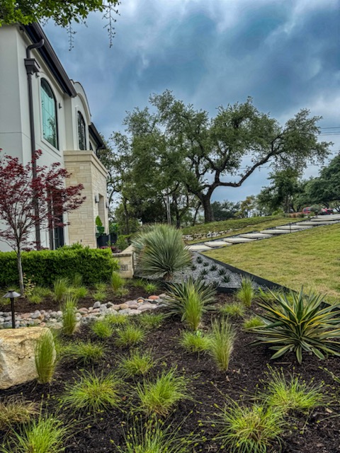 Lawn Care Summer Tips - Austin, Texas