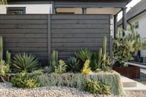 What Are The Principal Elements For The Best Landscape Design in Austin
