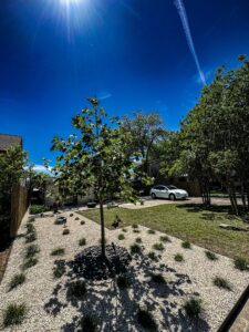 Why Fall Is The Perfect Time For An Austin Texas Landscape Design