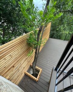 8 Austin Landscape Design Principles You Need To Know